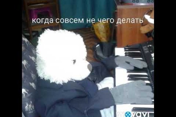 Gidra магазин