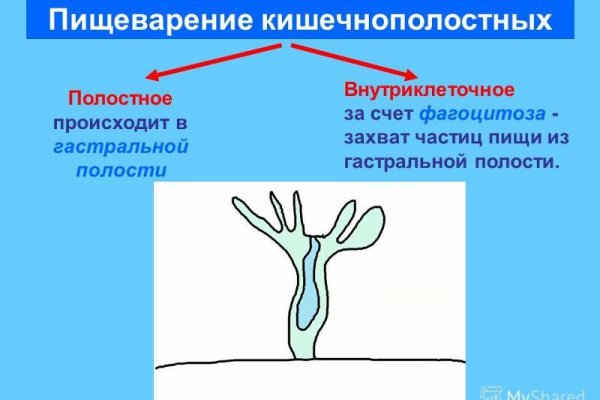 Кракен официальный сайт онион