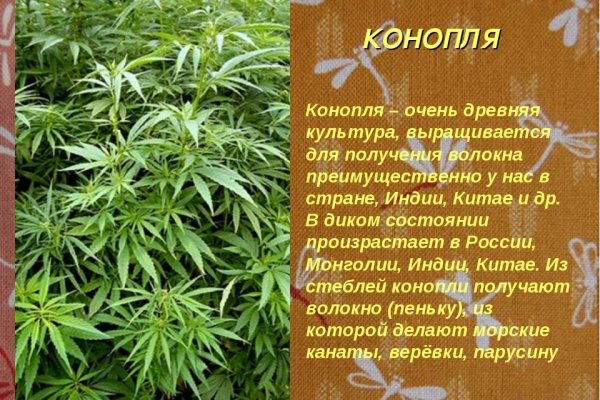 Правильная ссылка на кракен